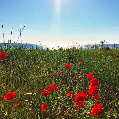 Strandresort Prora - Wg 114 Mit Meerblick Binz Zewnętrze zdjęcie